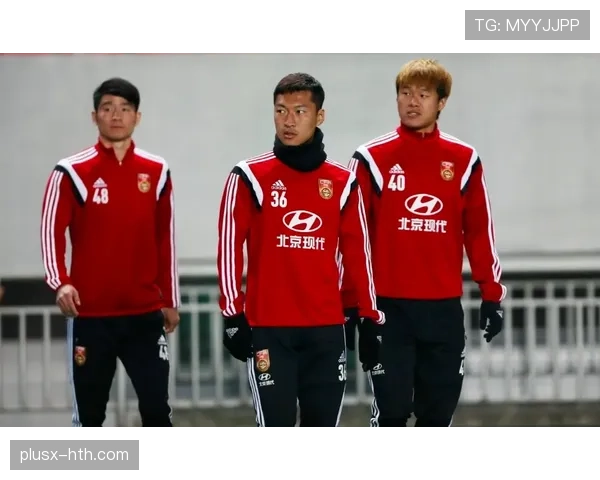 德甲荣誉榜揭晓:历史巨头突出表现,新兴球队持续崛起分析 德甲荣誉榜揭晓:历史巨头突出表现,新兴球队持续崛起分析